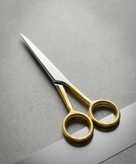 Personal Scissor Stainless Steel (4.5 Inches)