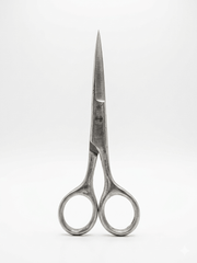 Personal Scissor Stainless Steel (4.5 Inches)