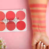 Emelie professional Matte Blusher 6 Color Pallete