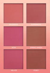 Kashee's Bridal Book  Professional Make-Up Kit