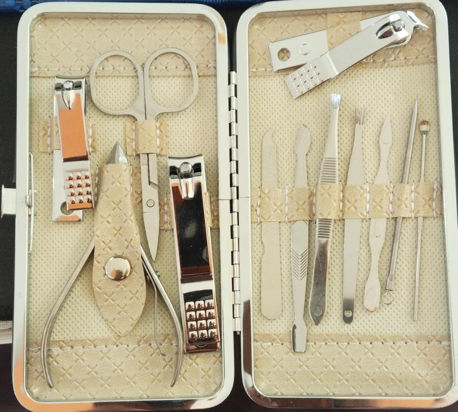 12-Piece Professional Manicure Kit - Stainless Steel Grooming Set with Travel Case