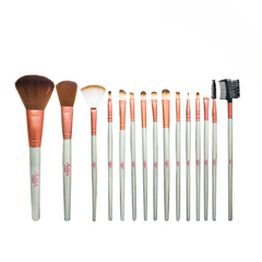 Aqua color line 15 pieces Brush Set
