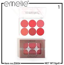 Emelie professional Matte Blusher 6 Color Pallete