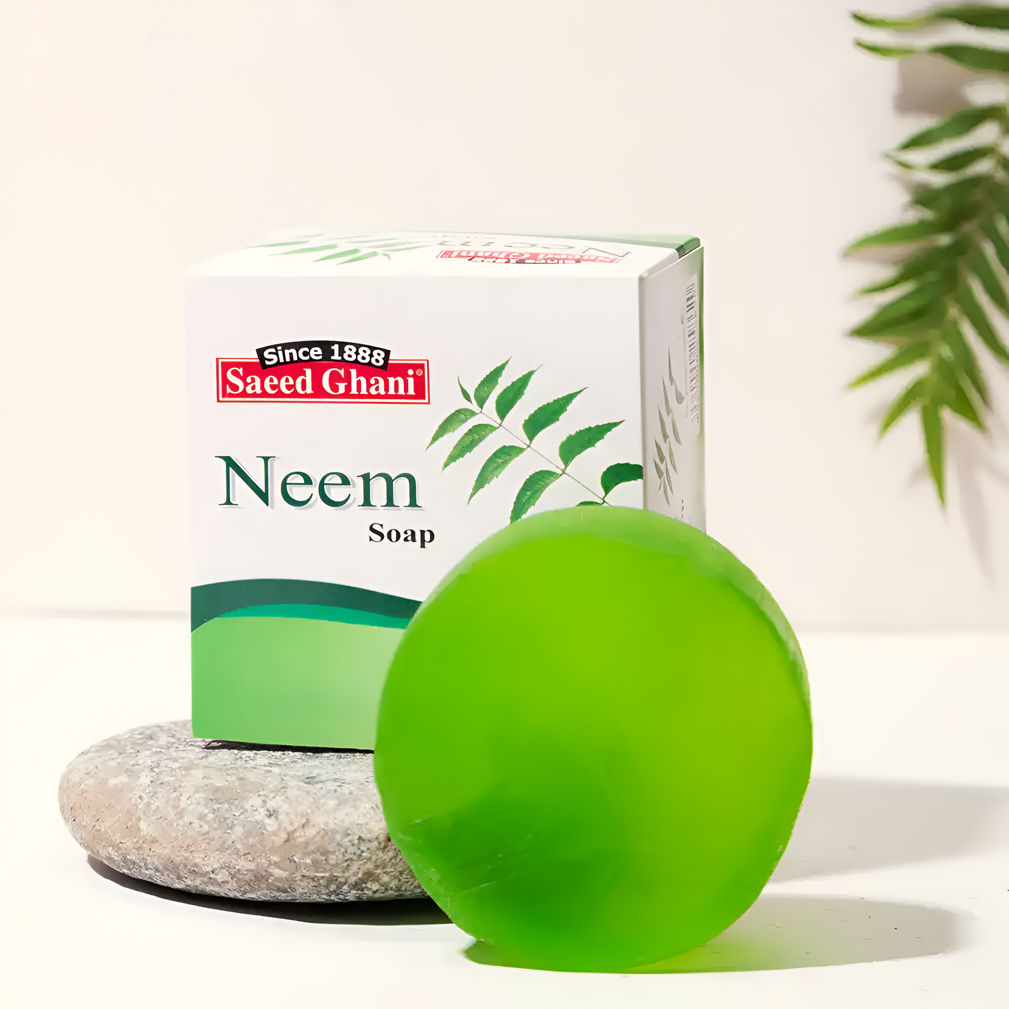 Saeed Ghani Pure Anti Acne Neem Soap (2 Sizes)